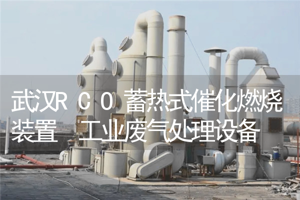 武汉RCO蓄热式催化燃烧装置 工业废气处理设备